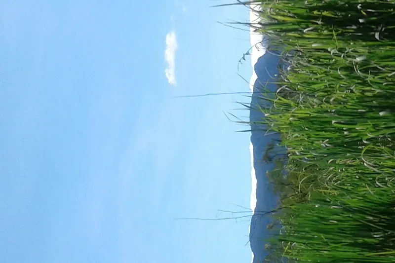 Chapada, Manaus