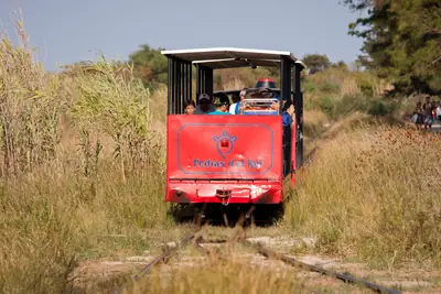 Santa Luzia