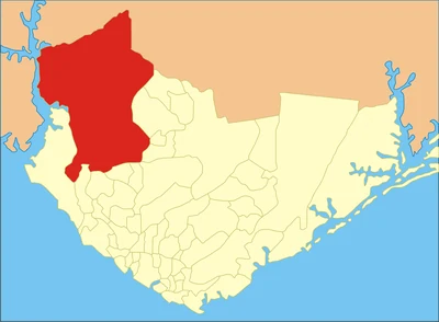 Tarumã-Açu