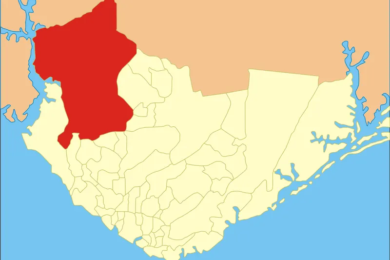 Tarumã, Manaus