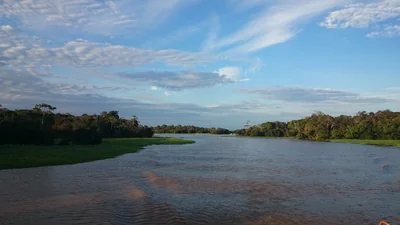 Anamã