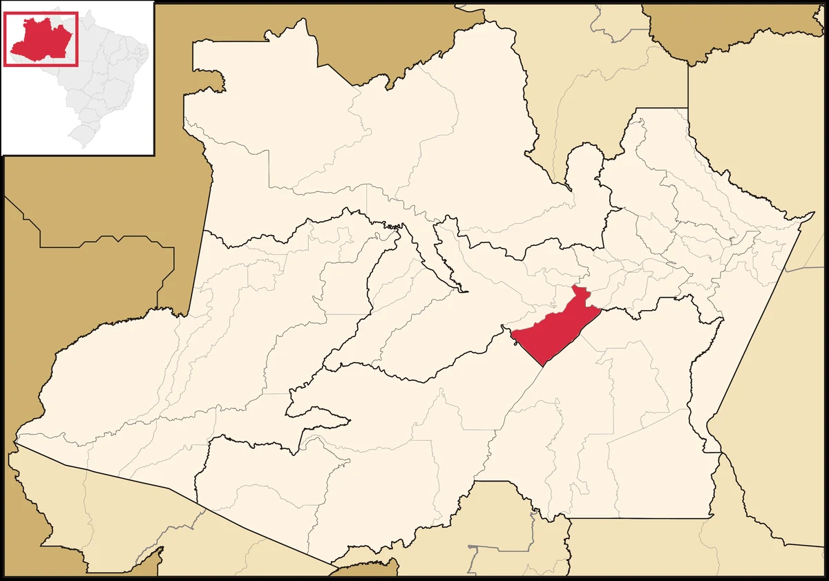 Beruri