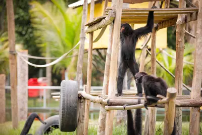 Zoológico do CIGS