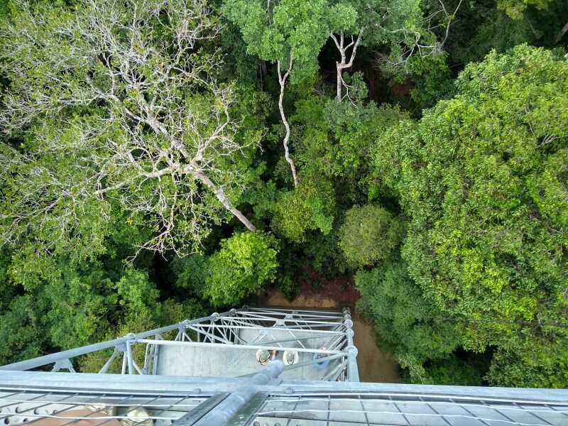 Páscoa será de pôr do sol na torre de observação do Museu da Amazônia