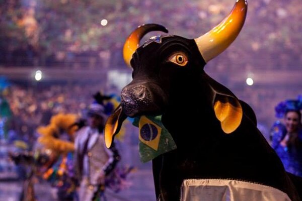 Festa do Quilombo de São Benedito terá participação especial do Boi-Bumbá Caprichoso