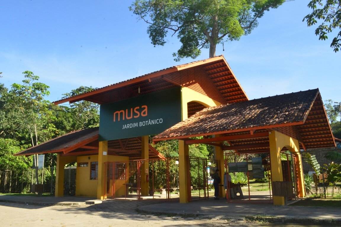 Especialistas debatem criação do Museu de Geociências e Paleontologia no Museu da Amazônia