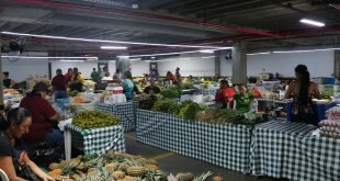 Coletivo Jovem Coca-Cola abre novas vagas para Manaus